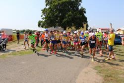 Lečo festival 2017 - foto 37. Lečo festival 2017 - foto 37.