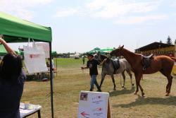 Lečo festival 2017 - foto 4. Lečo festival 2017 - foto 4.